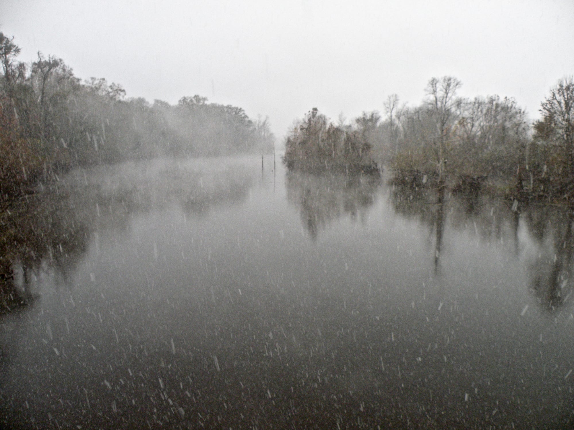 A snowstorm in Louisiana!