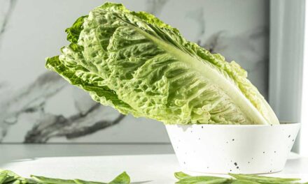 Food safety communication needs an AI overhaul